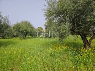 Οικόπεδο 865 τ.μ. για πώληση, Αχαΐα, Βραχναίικα-thumb-28