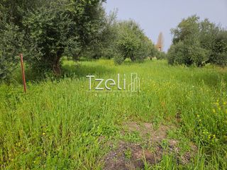 Οικόπεδο 865 τ.μ. για πώληση, Αχαΐα, Βραχναίικα-thumb-27