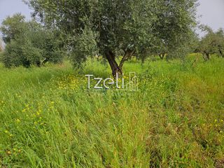 Οικόπεδο 865 τ.μ. για πώληση, Αχαΐα, Βραχναίικα-thumb-26