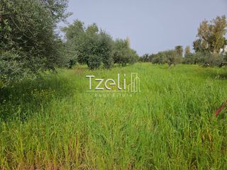 Οικόπεδο 865 τ.μ. για πώληση, Αχαΐα, Βραχναίικα-thumb-4