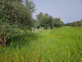 Οικόπεδο 865 τ.μ. για πώληση, Αχαΐα, Βραχναίικα-thumb-24