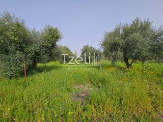 Οικόπεδο 865 τ.μ. για πώληση, Αχαΐα, Βραχναίικα-thumb-22