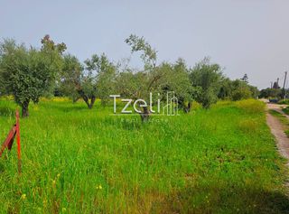 Οικόπεδο 865 τ.μ. για πώληση, Αχαΐα, Βραχναίικα-thumb-13