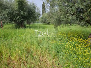 Οικόπεδο 865 τ.μ. για πώληση, Αχαΐα, Βραχναίικα-thumb-19