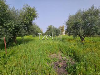 Οικόπεδο 865 τ.μ. για πώληση, Αχαΐα, Βραχναίικα-thumb-9