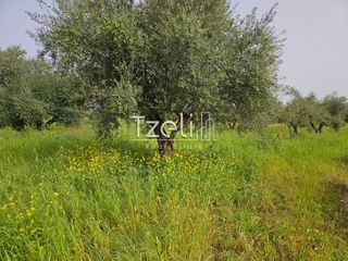 Οικόπεδο 865 τ.μ. για πώληση, Αχαΐα, Βραχναίικα-thumb-29
