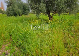 Οικόπεδο 865 τ.μ. για πώληση, Αχαΐα, Βραχναίικα-thumb-1