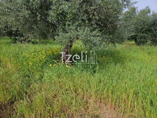 Οικόπεδο 865 τ.μ. για πώληση, Αχαΐα, Βραχναίικα-thumb-16