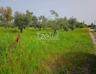 Οικόπεδο 865 τ.μ. για πώληση, Αχαΐα, Βραχναίικα-thumb-17