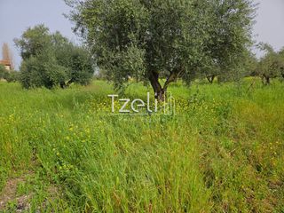 Οικόπεδο 865 τ.μ. για πώληση, Αχαΐα, Βραχναίικα-thumb-20