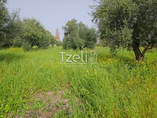 Οικόπεδο 865 τ.μ. για πώληση, Αχαΐα, Βραχναίικα-thumb-21