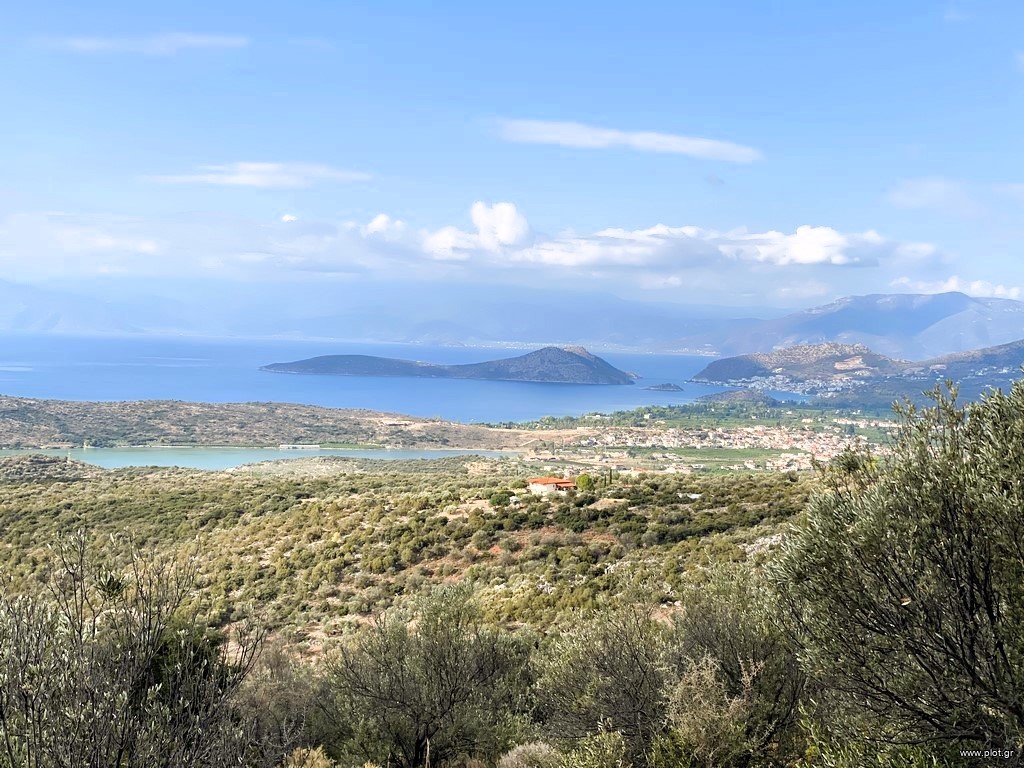 Αγροτεμάχια 19.708 τ.μ. για πώληση, Αργολίδα, Ασίνη