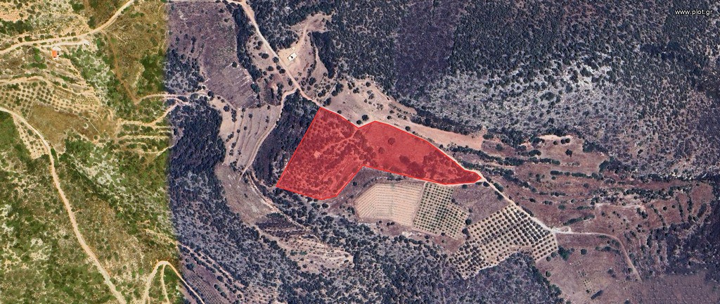 Αγροτεμάχια 19.708 τ.μ. προς πώληση, Αργολίδα, Ασίνη