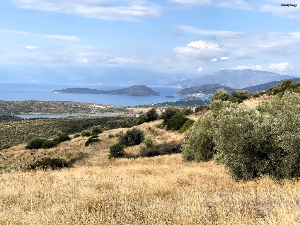 Αγροτεμάχια 19.708 τ.μ. προς πώληση, Αργολίδα, Ασίνη