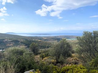 Αγροτεμάχια 19.708 τ.μ. για πώληση, Αργολίδα, Ασίνη-thumb-10