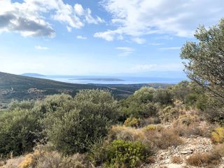 Αγροτεμάχια 19.708 τ.μ. για πώληση, Αργολίδα, Ασίνη-thumb-12