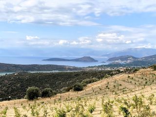 Αγροτεμάχια 19.708 τ.μ. για πώληση, Αργολίδα, Ασίνη-thumb-18