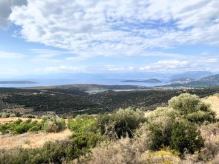 Αγροτεμάχια 19.708 τ.μ. για πώληση, Αργολίδα, Ασίνη-thumb-19