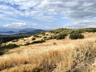 Αγροτεμάχια 19.708 τ.μ. για πώληση, Αργολίδα, Ασίνη-thumb-20