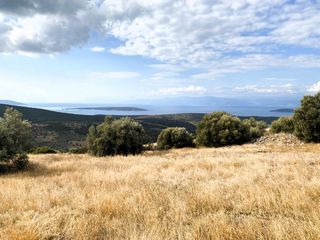 Αγροτεμάχια 19.708 τ.μ. για πώληση, Αργολίδα, Ασίνη-thumb-21