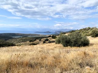 Αγροτεμάχια 19.708 τ.μ. για πώληση, Αργολίδα, Ασίνη-thumb-22