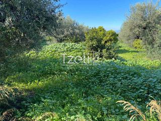 Οικόπεδο 1.421 τ.μ. για πώληση, Αχαΐα, Μεσσατίδα-thumb-22