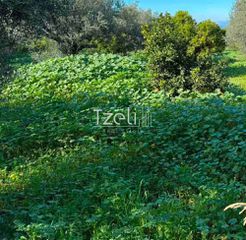 Οικόπεδο 1.421 τ.μ. για πώληση, Αχαΐα, Μεσσατίδα-thumb-25