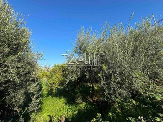 Οικόπεδο 1.421 τ.μ. για πώληση, Αχαΐα, Μεσσατίδα-thumb-26