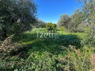 Οικόπεδο 849 τ.μ. για πώληση, Αχαΐα, Μεσσατίδα-thumb-8