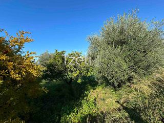 Οικόπεδο 849 τ.μ. για πώληση, Αχαΐα, Μεσσατίδα-thumb-24
