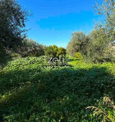 Οικόπεδο 849 τ.μ. για πώληση, Αχαΐα, Μεσσατίδα-thumb-14