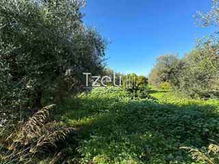 Οικόπεδο 849 τ.μ. για πώληση, Αχαΐα, Μεσσατίδα-thumb-15
