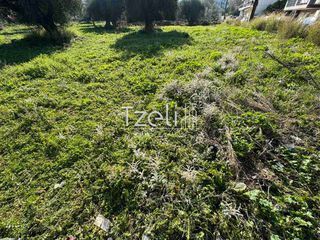 Οικόπεδο 3.000 τ.μ. για πώληση, Αχαΐα, Μεσσατίδα-thumb-28