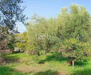 Οικόπεδο 1.061 τ.μ. για πώληση, Αχαΐα, Παραλία-thumb-17