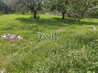 Οικόπεδο 1.061 τ.μ. για πώληση, Αχαΐα, Παραλία-thumb-25