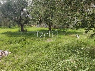 Οικόπεδο 1.061 τ.μ. για πώληση, Αχαΐα, Παραλία-thumb-18