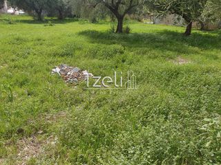 Οικόπεδο 1.061 τ.μ. για πώληση, Αχαΐα, Παραλία-thumb-20