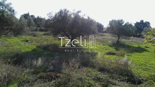Αγροτεμάχια 1.696 τ.μ. για πώληση