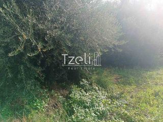 Οικόπεδο 1.472 τ.μ. για πώληση, Αχαΐα, Πάτρα-thumb-14