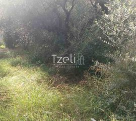 Οικόπεδο 1.472 τ.μ. για πώληση, Αχαΐα, Πάτρα-thumb-5