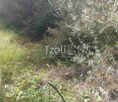 Οικόπεδο 1.472τ.μ. για πώληση-Πάτρα » Ζαρουχλέικα