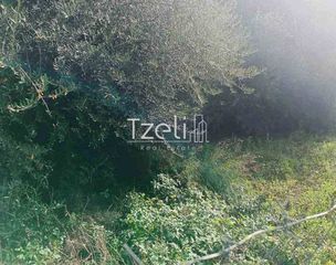 Οικόπεδο 736 τ.μ. για πώληση, Αχαΐα, Πάτρα-thumb-2