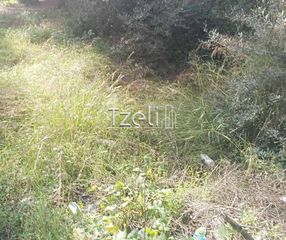 Οικόπεδο 736 τ.μ. για πώληση, Αχαΐα, Πάτρα-thumb-24