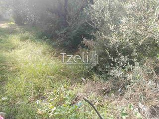 Οικόπεδο 736 τ.μ. για πώληση, Αχαΐα, Πάτρα-thumb-3