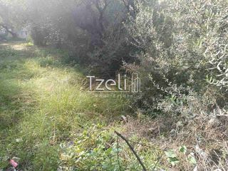 Οικόπεδο 736 τ.μ. για πώληση, Αχαΐα, Πάτρα-thumb-21