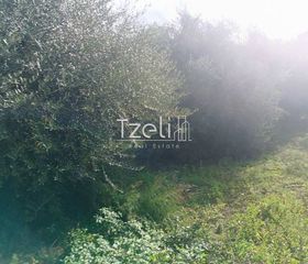 Οικόπεδο 736 τ.μ. για πώληση, Αχαΐα, Πάτρα-thumb-9