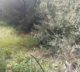 Οικόπεδο 736 τ.μ. για πώληση, Αχαΐα, Πάτρα-thumb-7