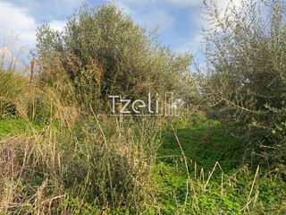 Οικόπεδο 1.220 τ.μ. για πώληση, Αχαΐα, Πάτρα-thumb-13