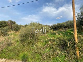 Οικόπεδο 1.220 τ.μ. για πώληση, Αχαΐα, Πάτρα-thumb-28