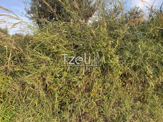 Οικόπεδο 1.220 τ.μ. για πώληση, Αχαΐα, Πάτρα-thumb-8